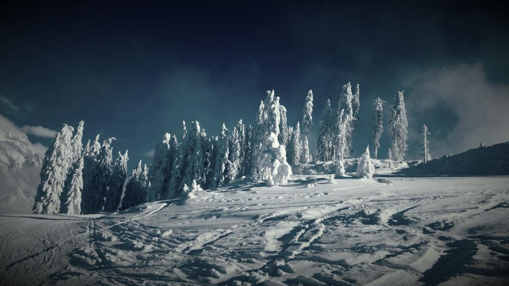 Hotel Pension Barbara Sankt Martin am Tennengebirge Dış mekan fotoğraf