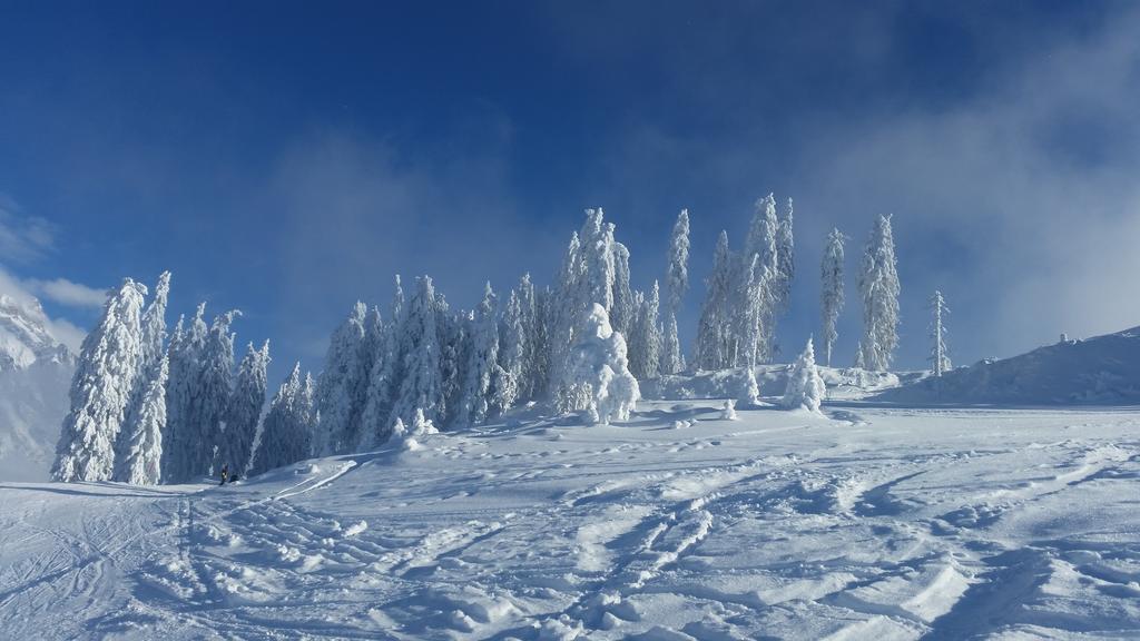 Hotel Pension Barbara Sankt Martin am Tennengebirge Dış mekan fotoğraf